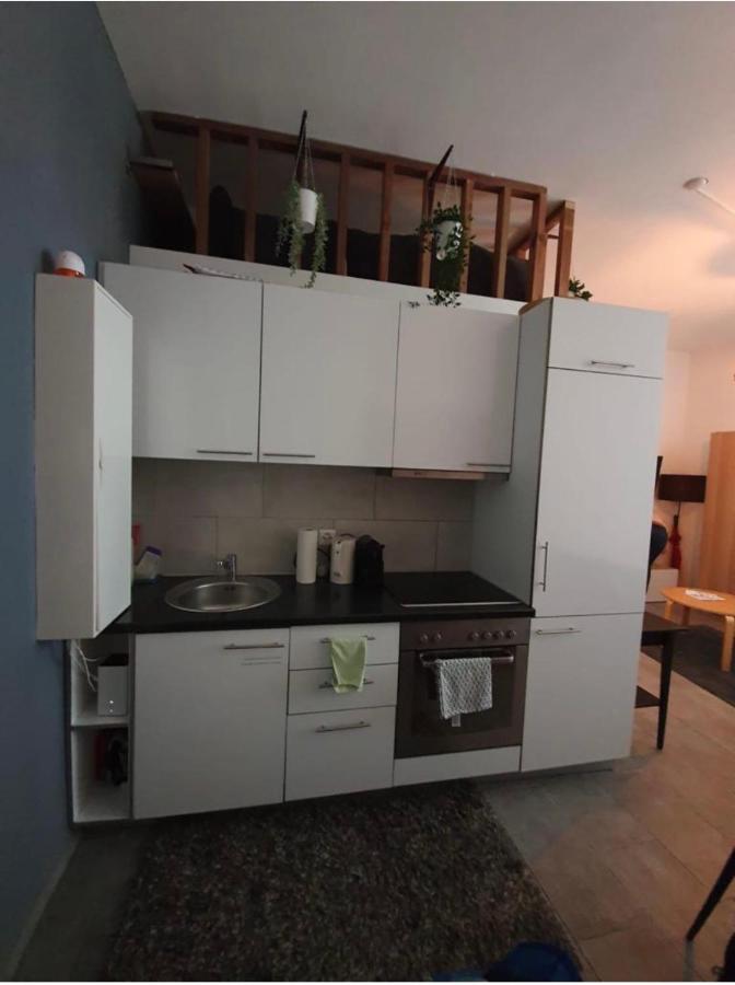 Modern Studio With Mezzanine Le Mont-Sur-Lausanne Экстерьер фото