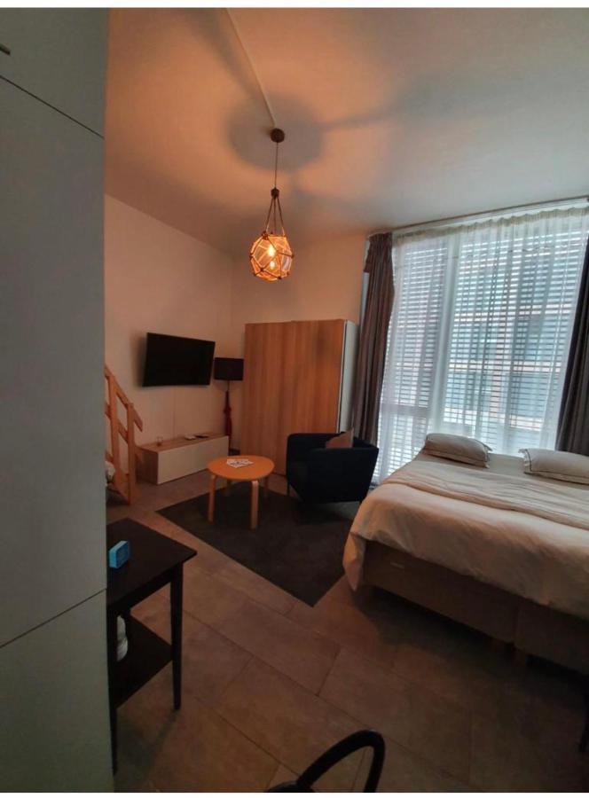 Modern Studio With Mezzanine Le Mont-Sur-Lausanne Экстерьер фото